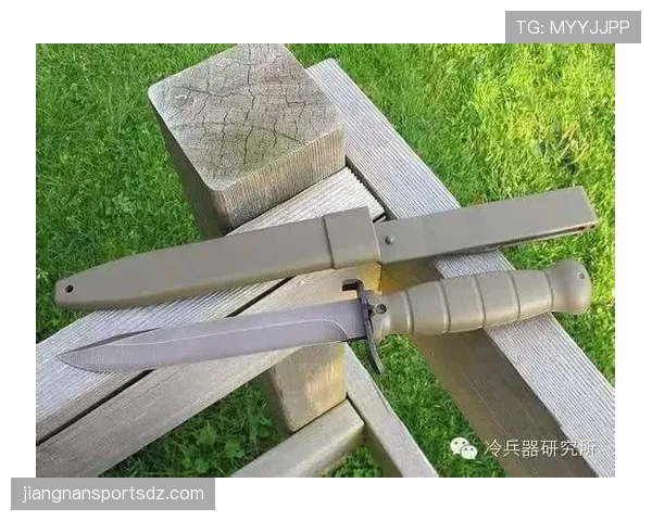 卡马文加与略伦特的多位置适应性及战术适配机制对比